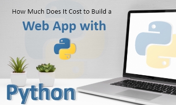 python web app development cost