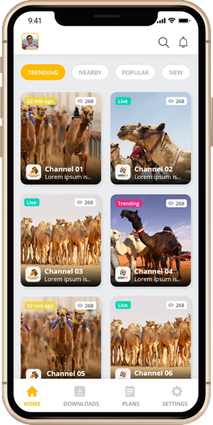 grocery delivery app